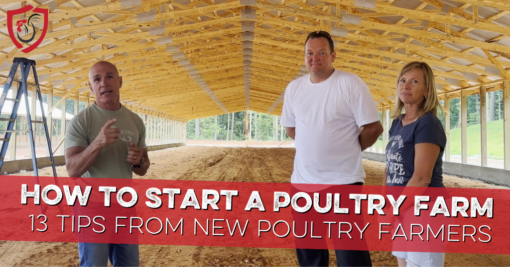How to Start a Poultry Farm 13 Tips from New Poultry Farmers
