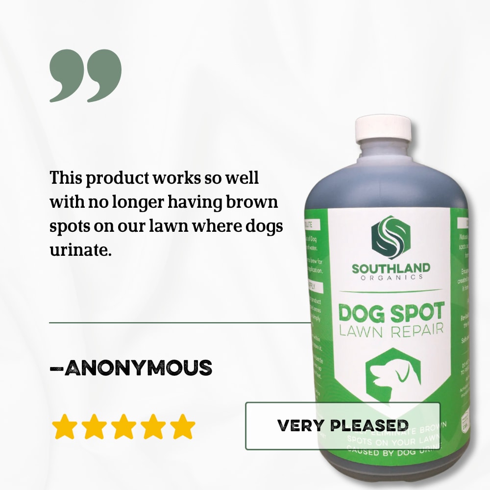 Dog Spot Review