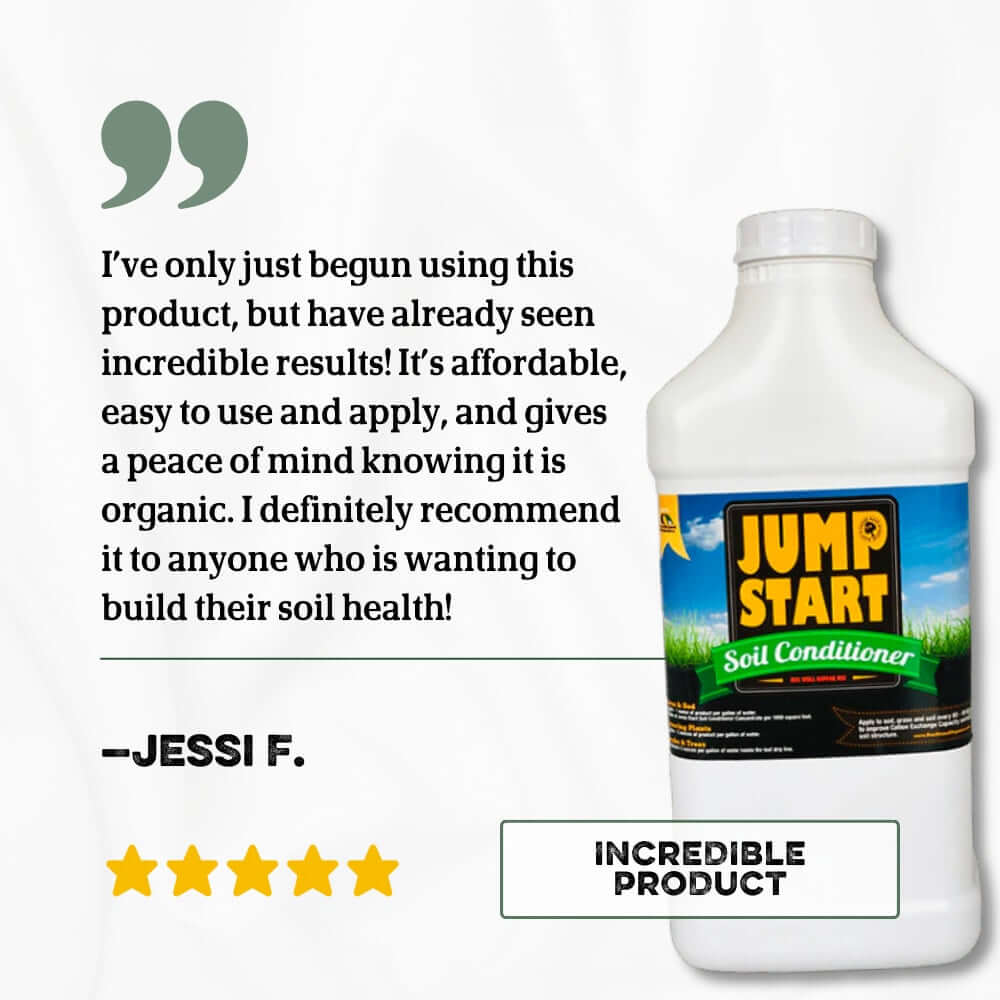 Jump Start Review