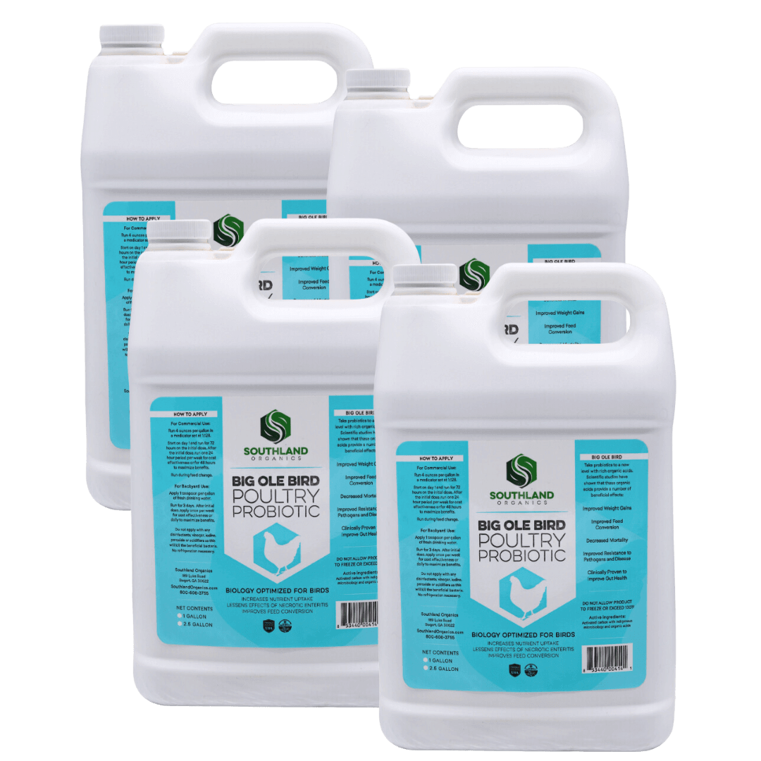  Big Ole Bird Poultry Probiotics Case: 4 x 1 Gallon