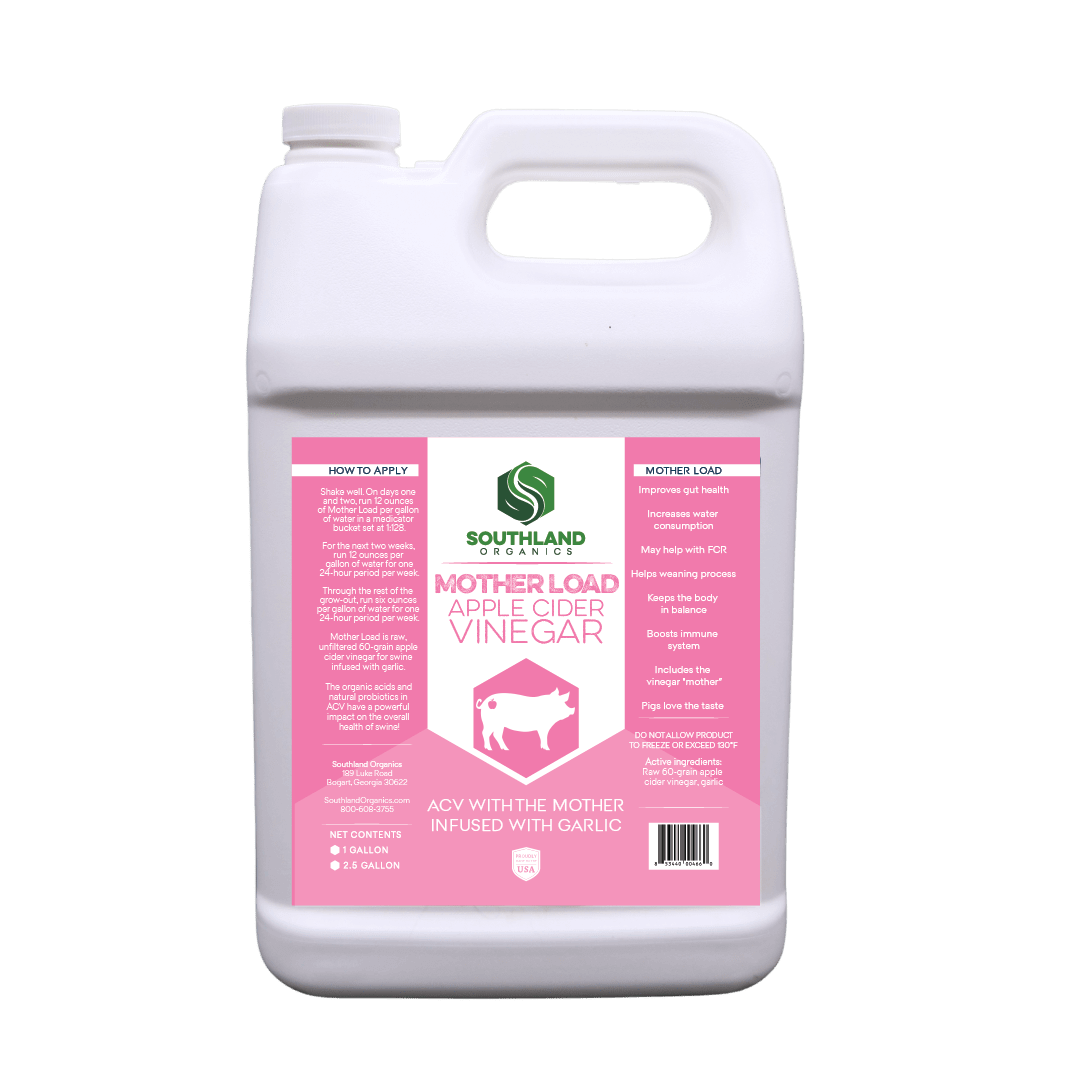 ACV for Pigs