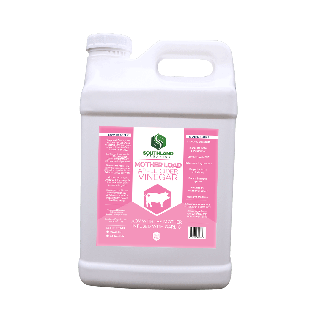 Apple Cider Vinegar for Pigs
