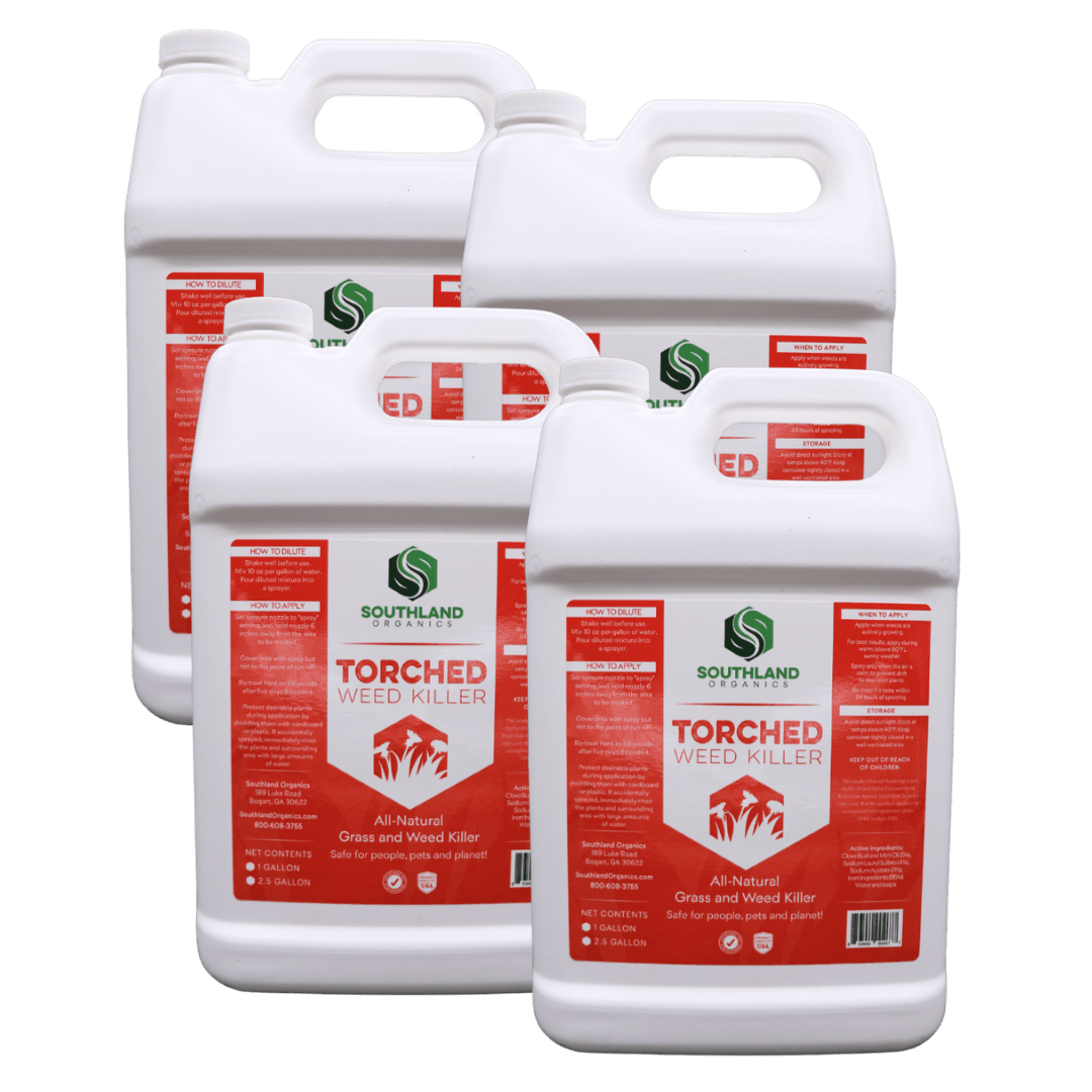 Torched Weed Killer Case: 4 x 1 Gallon